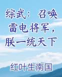 综武:召唤雷电将军,朕一统天下全集目录
