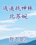 逍遥战神林北苏婉